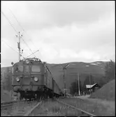 Statens Järnvägar, SJ Da 891 med vagnar. Sunlit Nights Land Cruises (SNLC) - tåget vid Abisko och Björkliden stationer.
Det så kallade Dollartåget med huvudsakligen amerikanska turister.