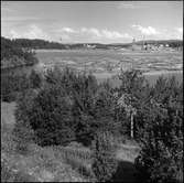 Hallstanäs Industri, nära Sandö.