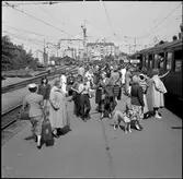 Skolbarn avreser från Stockholm Östra till  Barnens ö. Många förväntansfulla barn med föräldrar finns på plattformen.