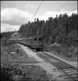 Statens Järnvägar, SJ F 702. Snälltåg, linjen Järna-Vagnhärad. Tillverkades av ASEA under perioden 1948-1949. Loken tillhörde den andra serie F-lok.