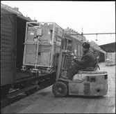 Statens Järnvägar, SJ 1613. Cö-behållare inlastas i vagn med gaffeltruck.