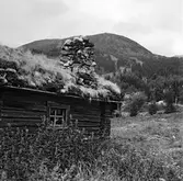 Jämtland, Åre med omgivning.