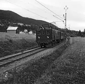 Statens Järnvägar, SJ Dg 242. Under andra världskriget byggdes alla D-lok med träkorg om till Dg-lok. Denna typ kom att finnas kvar ända till 1976. Många Dg-lok kom med tiden att byggas om till Du-lok. Totalt har det funnits 186 Dg-lok, dock inte samtidigt.