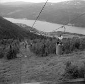 Utsikt från Åre linbana mot Åredalen.