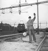 Statens Järnvägar, SJ Ub 689
Växlare, växlingsarbete på bangård.