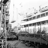 Göteborg. Lossnings- och lastningsarbete i Frihamnen.