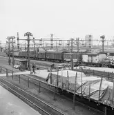 Olskroken. Bangården.