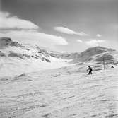 Skidåkare, tåghemsresenärer i terrängen.
