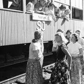 Statens Järnvägar, SJ Tåghem.
Exteriör av tåget, Lund, Ystad och Simrishamn stn.
(Blackebergs Lärov. tåghem)