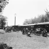 Statens Järnvägar, SJ Tåghem. Cyklarna urlastas för en studieutflykt.
(Blackebergs Lärov. tåghem).
Tåget består av Statens Järnvägar, SJ F6 cykelvagn, WLAB01d 4105-07 före detta BJ personalvagn, S7 kyl och förråd, R02 1962? restaurang, S07 3066 sällskapsvagn, S7 1616 eller 1615 sällskapsvagn, två WLA01b och två WLB016 som sovvagnar samt S7 dusch i torkvagn.
TT