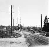 Statens Järnvägar, SJ Tåghem.
Läroverkseleverna på cykelutflykt.
(Blackebergs Lärov. tåghem)
