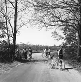 Statens Järnvägar, SJ Tåghem.
Läroverkseleverna på cykelutflykt.
(Blackebergs Lärov. tåghem)