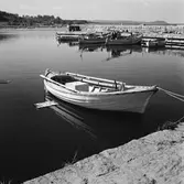 Läroverkselever besöker Baskemölla fiskeläge.
(Foto i samband med Blackebergs Lärov. tåghem)