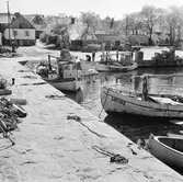 Läroverkselever besöker Baskemölla fiskeläge.
(Foto i samband med Blackebergs Lärov. tåghem)