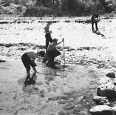 Läroverkselever vid Tjörnedala.
(Foto i samband med Blackebergs Lärov. tåghem)