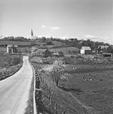Skåne, Södra Mellby.
(Foto i samband med Blackebergs Lärov. tåghem)