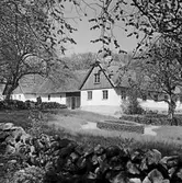 Landskapsmotiv vid Tjörnedala lund. (Foto i samband med Blackebergs Lärov. tåghem)