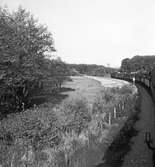 Statens Järnvägar, SJ Tåghem på linjen Ystad - Lund. 
(Foto i samband med Blackebergs Lärov. tåghem)