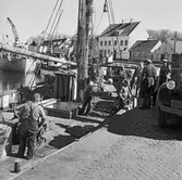 Skåne.
Motiv från Lund, Ystad, Simrishamn och Baskemölla.
(Foto i samband med Blackebergs Lärov. tåghem)