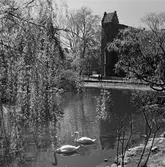 Skåne.
Motiv från Lund, Ystad, Simrishamn och Baskemölla.
(Foto i samband med Blackebergs Lärov. tåghem)
