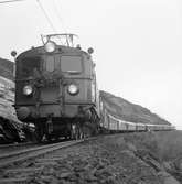 Statens Järnvägar, SJ Da 891 på linjen mellan Katterat och Rombak. Cirka 26 kilometer från Narvik.
Reportagefoto, SNCL 1956. Dollartåget.
(Motiv fr Narvik, Rombackfjord)