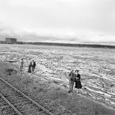 Turisttur SJ Nordkalotten
Nordkapsturen. Haparanda, Kemi, Rovaniemi k:a.