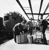 Statens Järnvägar, SJ F 624, Stadsbud vid Centralstation