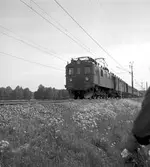 Persontåg på linjen Södertälje Södra - Järna
SJ D 430