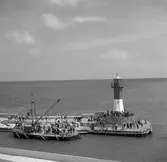 Färjeläget i Trelleborg - Sassnitz