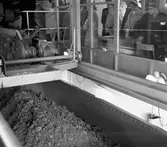 Transport av malm. Invigning bansträckan Kiruna C - Tuolluvaara