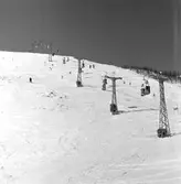 Åre fjäll- och linbana. Skidåkare