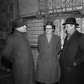 Hemköp, Älvsjö. I samband med att industrispåret togs i bruk