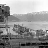 Luossavaara-Kiirunavaara Aktiebolag, LKAB:s anläggning, malmkajen i Narvik