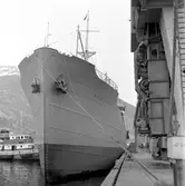 M/S Karesuando. Luossavaara-Kiirunavaara Aktiebolag, LKAB:s anläggning, malmkajen i Narvik