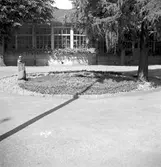 Statens Järnvägar, SJ. Plantering med SJ emblem