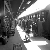 Centralstation, Stockholm. spår 12.