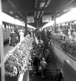 Centralstationen, spår 12