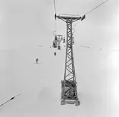 Linbanan, Trädgränsen.