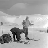 Skidåkare, Hummeln.
