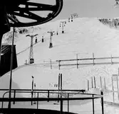 Linbanan, vid Trädgränsen.