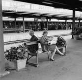 Blomlådor vid Centralstationens plattformar