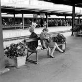 Blomlådor vid Centralstationens plattformar