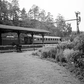 Blomsteranläggningar