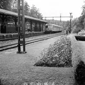 Blomsteranläggningar