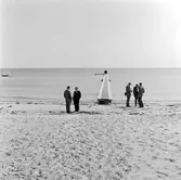 Svenska lokaltrafikförbundets, SLTF:s årsmöte