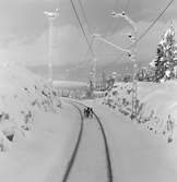 Renar i spåret på linjen, Gv-Kra, Gällivare-Kiruna