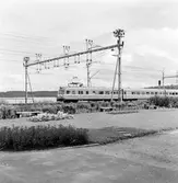 Gnesta järnvägsstation, stationsplantering. Statens Järnvägar, SJ Y0a2.