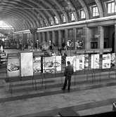 Utställningsskärmar, stora hallen, Stockholm centralstation