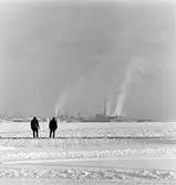 Hamn. Svenska Cellulosa AB, Ortviken, Sundsvall