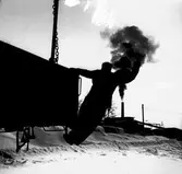 AB Statens Skogsindustrier, ASSI, Piteå